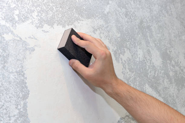 Best Airborne Mold Testing  in Lufkin, TX