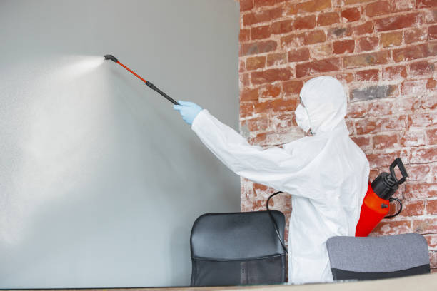 Best Mold Prevention Services  in Lufkin, TX