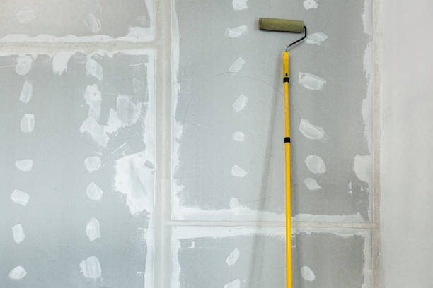 Professional Mold Removal in Lufkin, TX