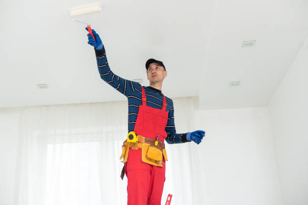 Mold Documentation for Insurance Claims in Lufkin, TX